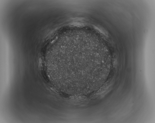X0000111831397200909031504