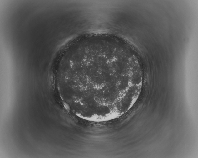 X0000111831398200909031504