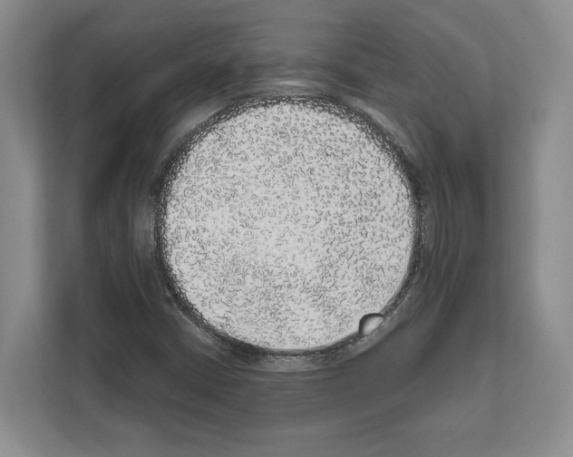 X0000111831402200909031504