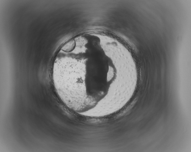 X0000111831405200909031504