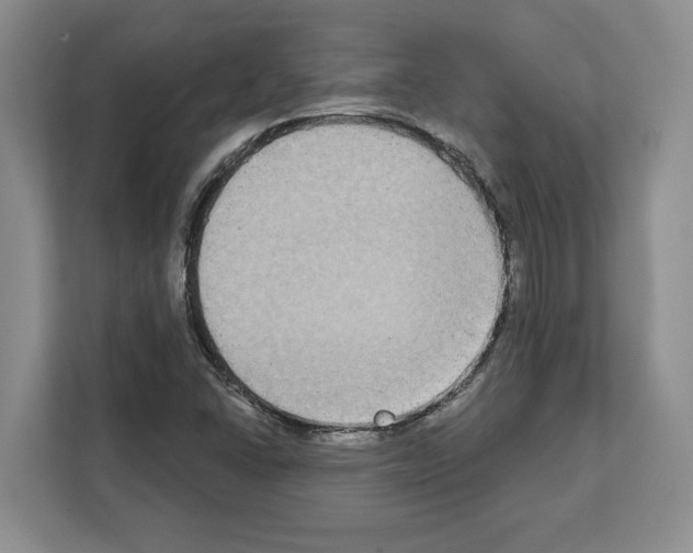 X0000111831406200909031504