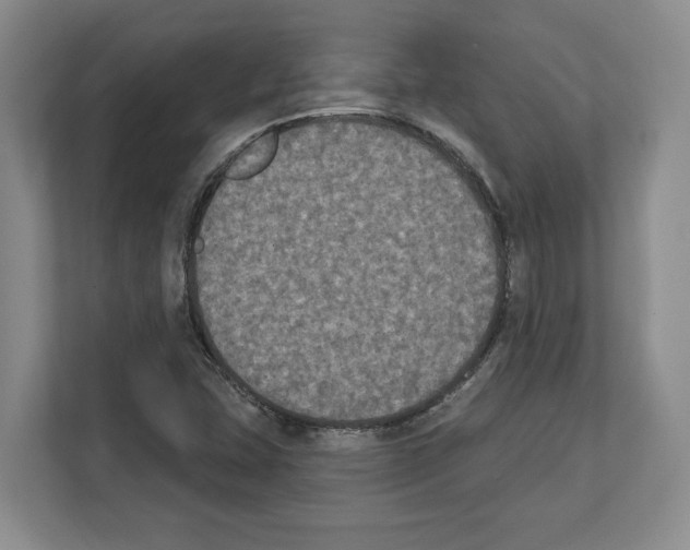 X0000111831407200909031504