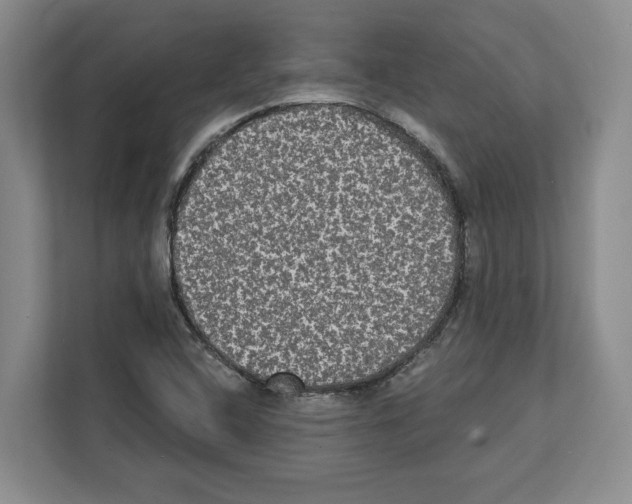 X0000111831408200909031504