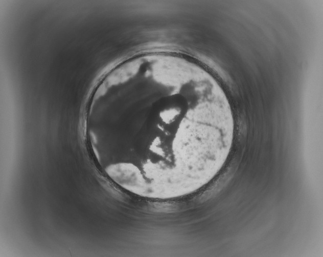 X0000111831413200909031504