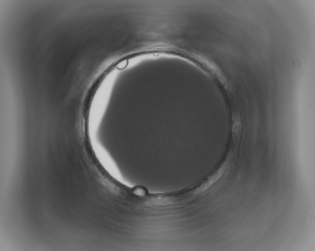 X0000111831414200909031504