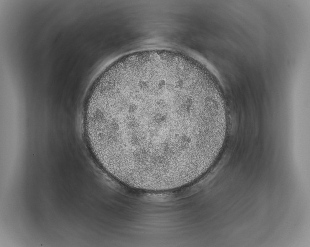 X0000111831415200909031504
