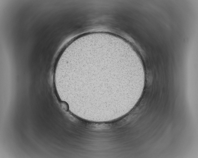 X0000111831416200909031504