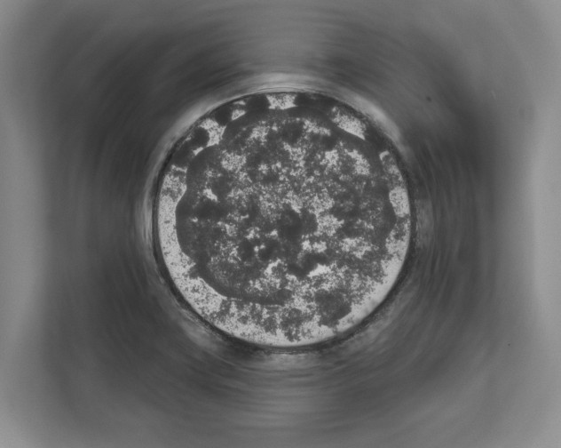 X0000111831419200909031504