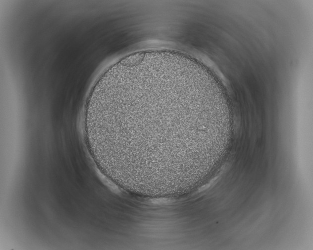 X0000111831421200909031504