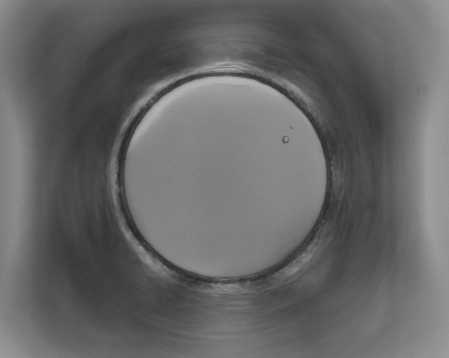 X0000111831422200909031504