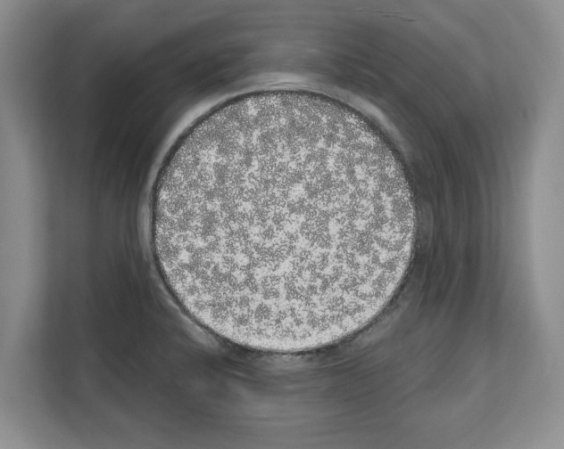 X0000111831424200909031504