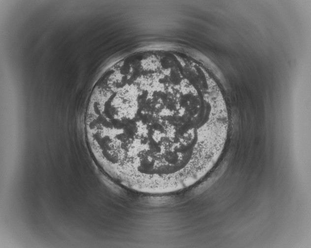 X0000111831425200909031504