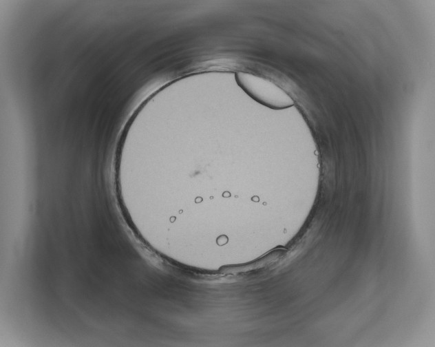 X0000111831426200909031504