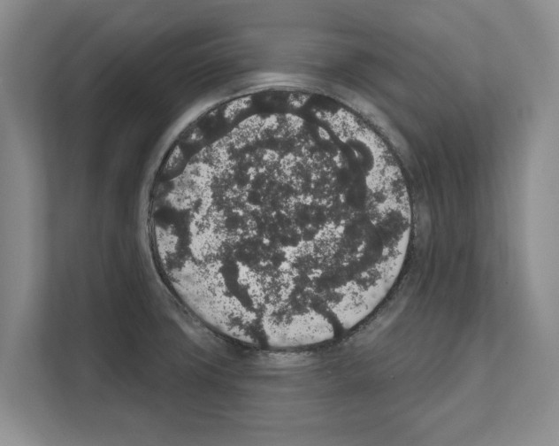 X0000111831427200909031504