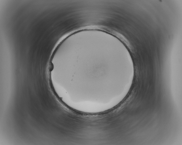 X0000111831428200909031504