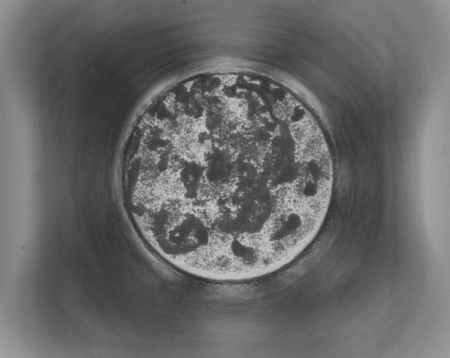X0000111831429200909031504