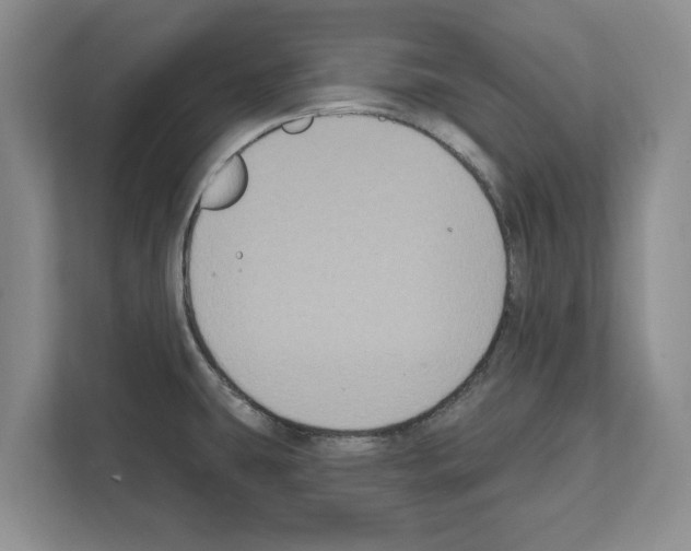 X0000111831431200909031504
