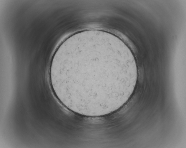 X0000111831432200909031504