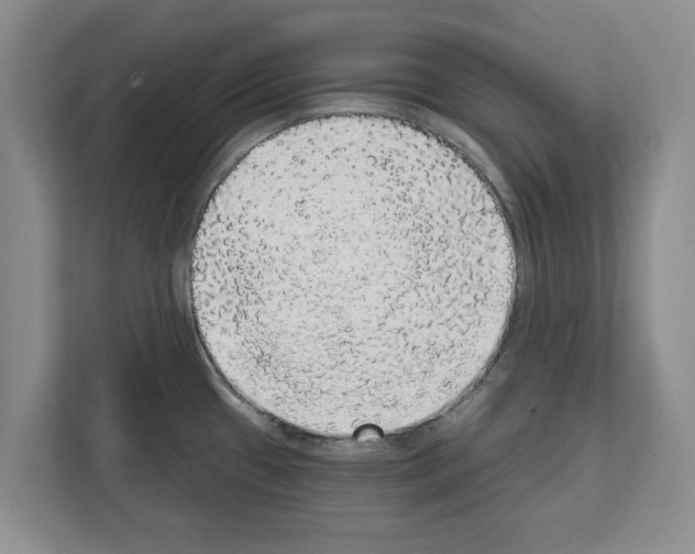 X0000111831433200909031504