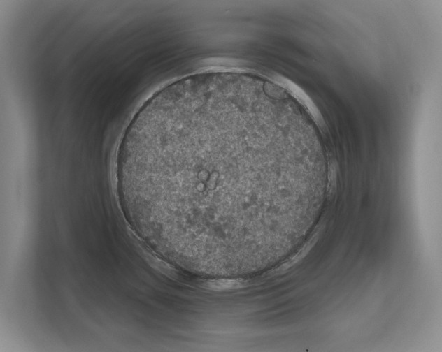 X0000111831435200909031504