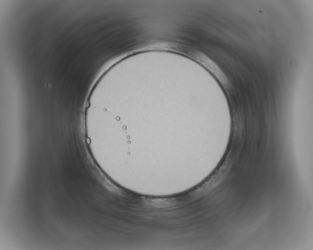 X0000111831436200909031504