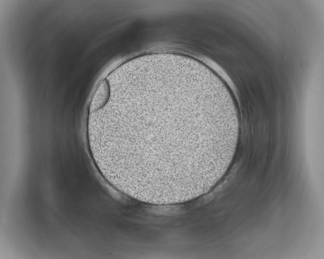 X0000111831437200909031504