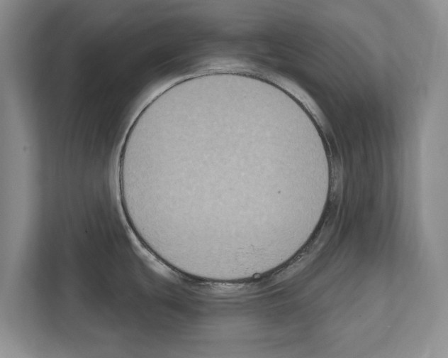 X0000111831439200909031504