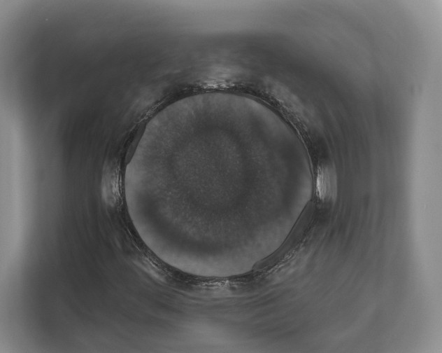 X0000111831444200909031504