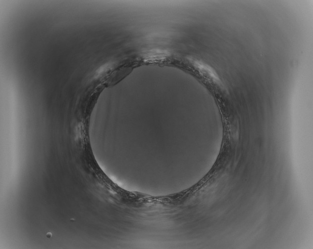 X0000111831445200909031504