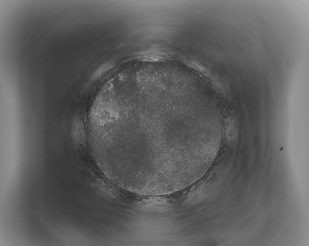 X0000111831446200909031504