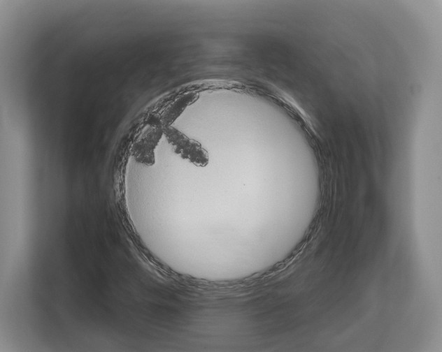 X0000111831448200909031504