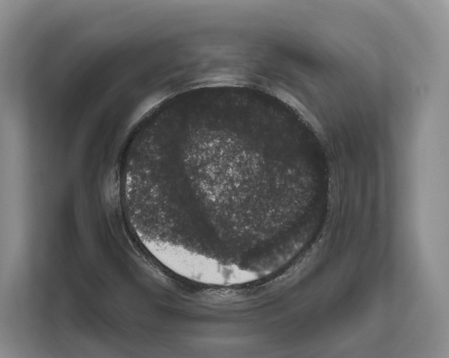 X0000111831450200909031504