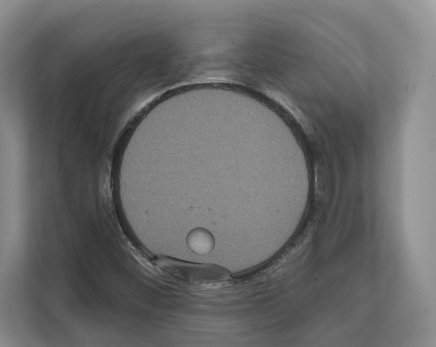 X0000111831452200909031504