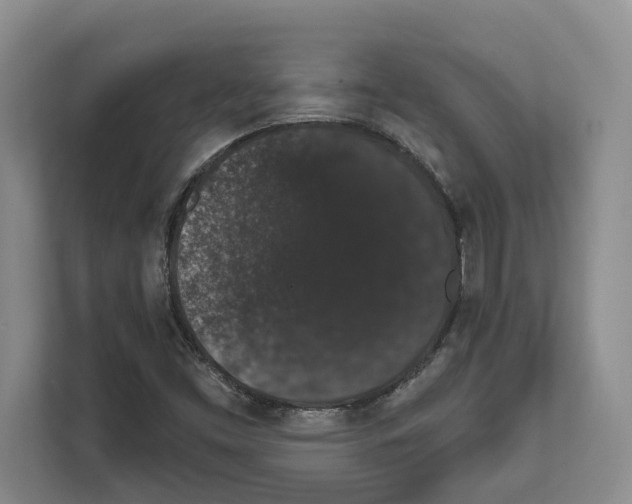 X0000111831453200909031504