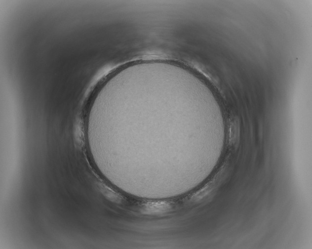 X0000111831454200909031504