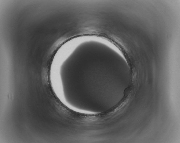 X0000111831455200909031504