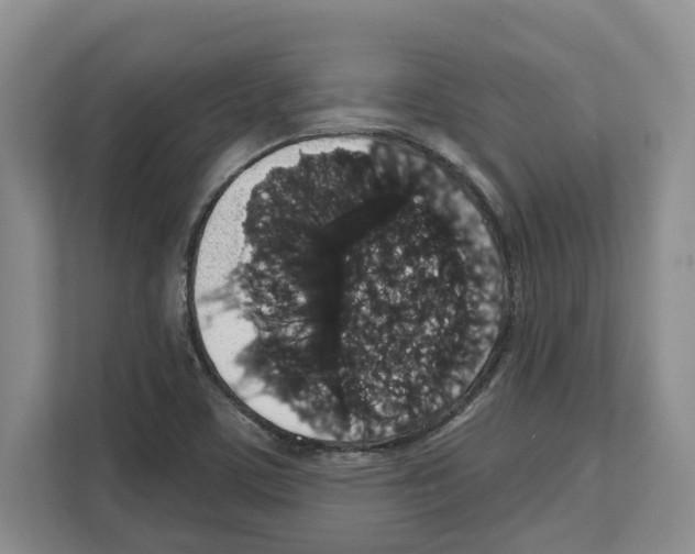 X0000111831459200909031504