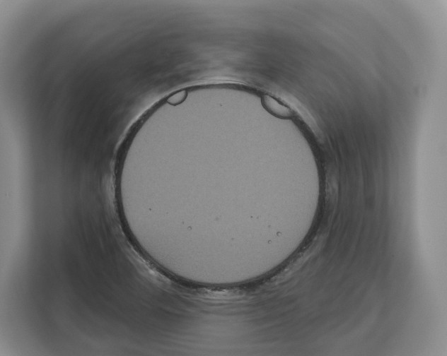 X0000111831460200909031504
