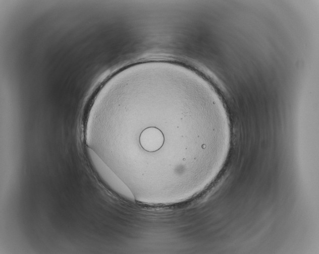X0000111831461200909031504