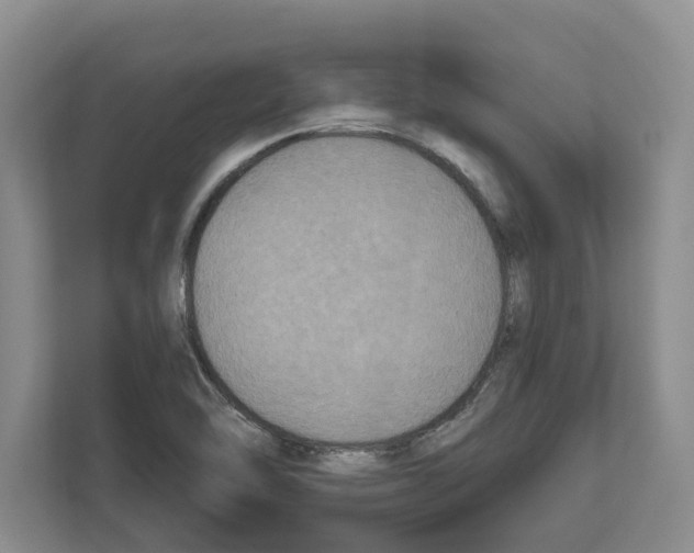 X0000111831462200909031504