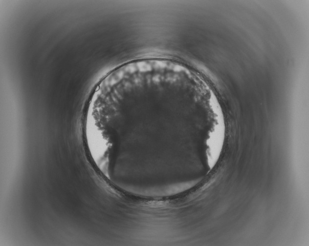 X0000111831463200909031504