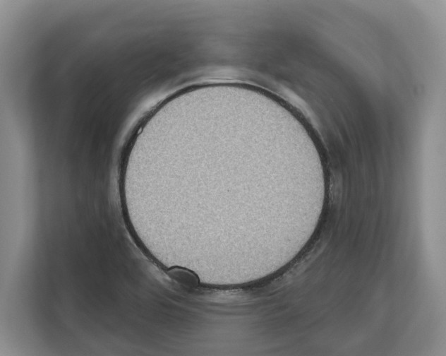 X0000111831464200909031504