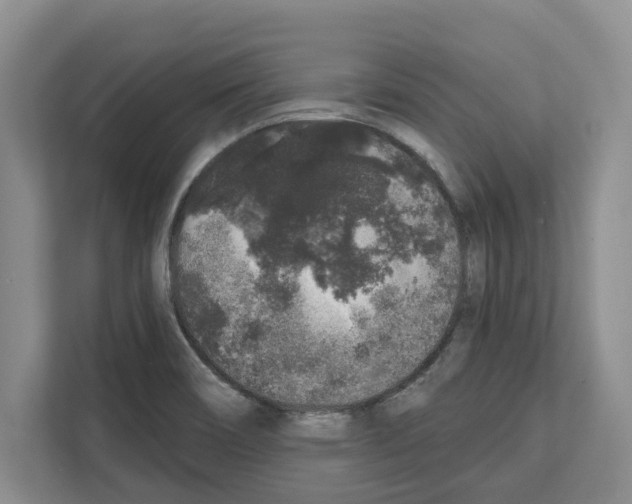 X0000111831466200909031504