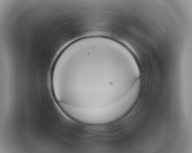 X0000111831468200909031503