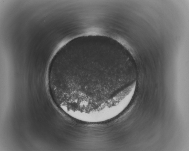 X0000111831469200909031503