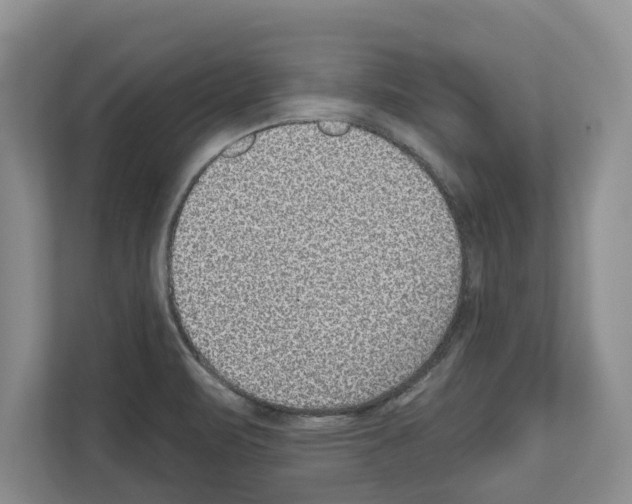 X0000111831471200909031503