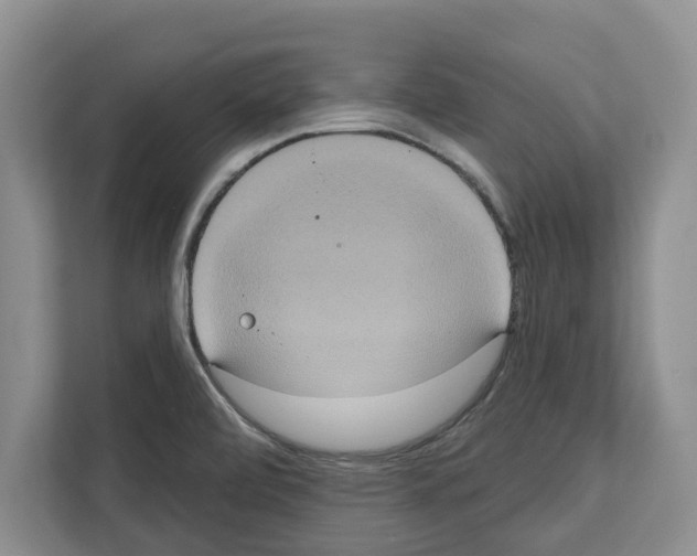 X0000111831472200909031503