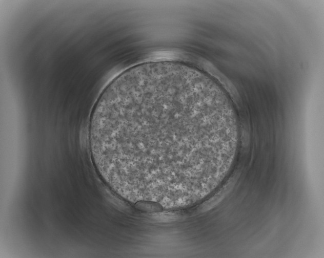 X0000111831473200909031503