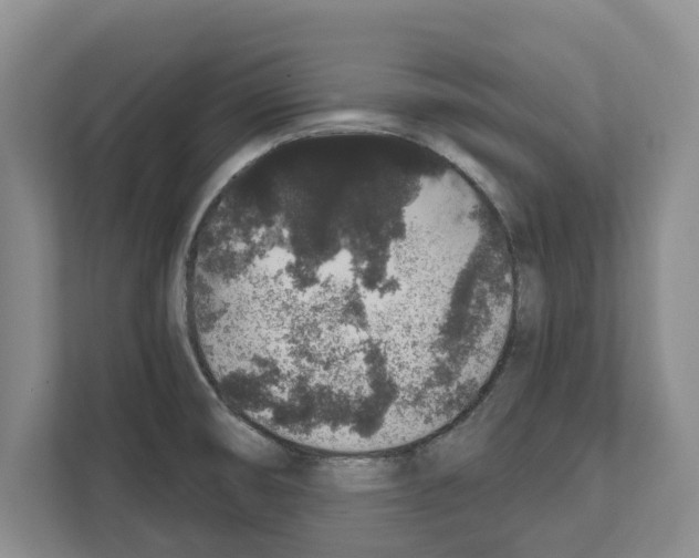 X0000111831474200909031503
