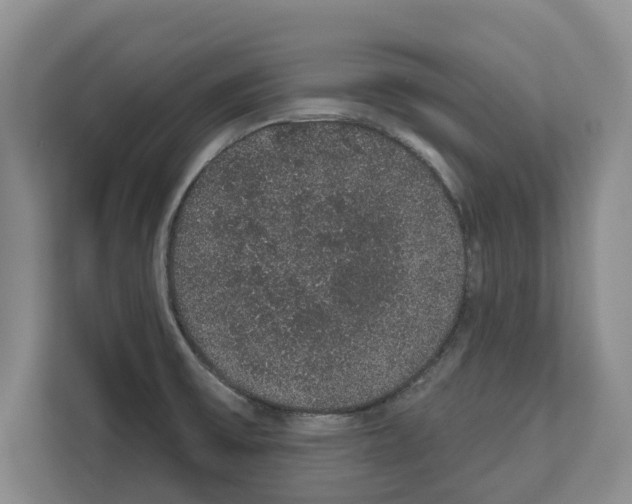X0000111831475200909031503